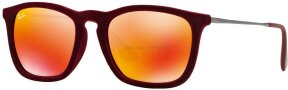 Lunettes de soleil RB4187