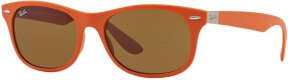 Lunettes de soleil RB4207