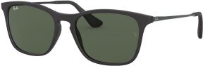 Lunettes de soleil RJ9061S