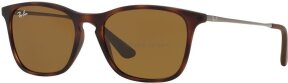 Lunettes de soleil RJ9061S