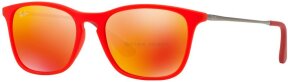 Lunettes de soleil RJ9061S