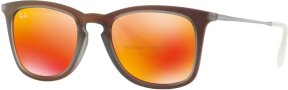 Lunettes de soleil RB4221