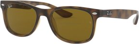 Lunettes de soleil RJ9052S