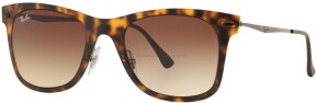 Lunettes de soleil RB4210