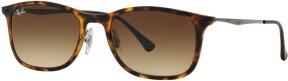 Lunettes de soleil RB4225