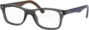 Lunettes de vue RX5228