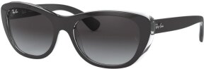 Lunettes de soleil RB4227