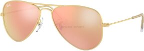 Lunettes de soleil RJ9506S