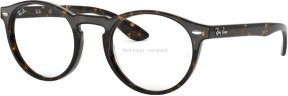 Lunettes de vue RX5283