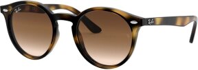 Lunettes de soleil RJ9064S