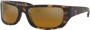 Lunettes de soleil RB4283CH