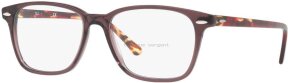 Lunettes de vue RX7119