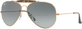 Lunettes de soleil RB3029