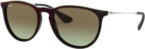 Lunettes de soleil RB4171F