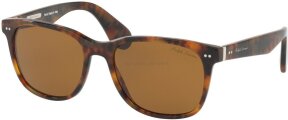 Lunettes de soleil RL8162P