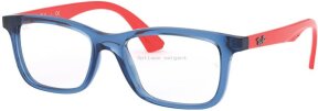 Lunettes de vue RY1562