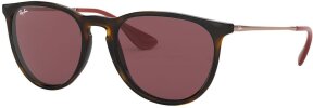 Lunettes de soleil RB4171F