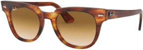 Lunettes de soleil RB2168