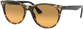 Lunettes de soleil RB2185