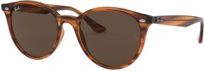 Lunettes de soleil RB4305