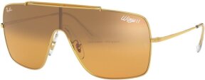 Lunettes de soleil RB3697