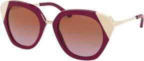 Lunettes de soleil RL8178