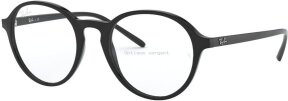 Lunettes de vue RX7173