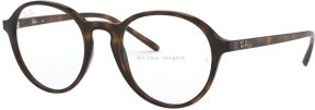 Lunettes de vue RX7173