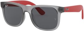 Lunettes de soleil RJ9069S