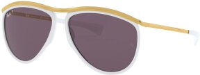 Lunettes de soleil RB2219