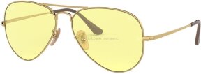 Lunettes de soleil RB3689