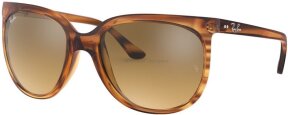 Lunettes de soleil RB4126