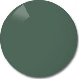 Verres Solaires Polycarbonate gris vert uni