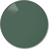 Verres Solaires Polycarbonate dark green Reverse VR