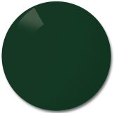 Verres Solaires Polycarbonate gris vert polarisant