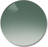 Verres Solaires Crystal polar clear gradient dark green G4