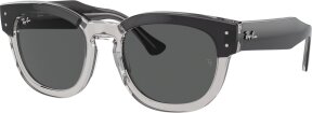 Lunettes de soleil MEGA HAWKEYE RB0298S 1396B1