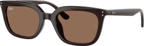 Lunettes de soleil RB4439D 623173