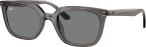 Lunettes de soleil RB4439D 667587