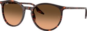Lunettes de soleil RB2204 14293B