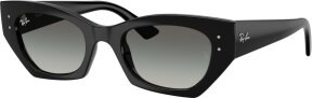 Lunettes de soleil ZENA RB4430 667711