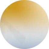 Verres Solaires Minéral HCL bronze  dual mirror or et argent polarisant