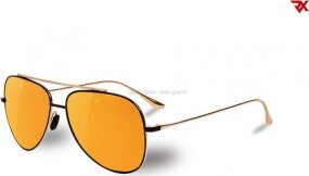 Lunettes de soleil VL1611