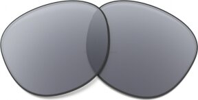 Verres de remplacement Grey Polarized