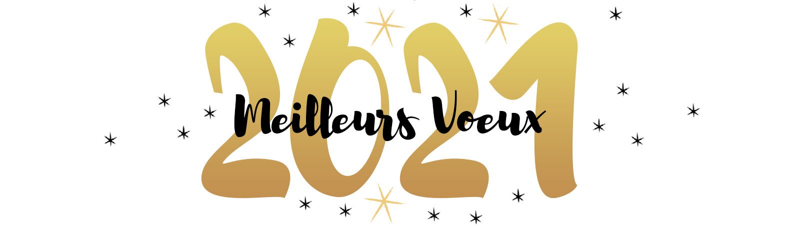 Meilleurs Voeux 2021 optique sergent