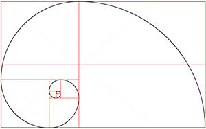 début de construction du logo optique sergent