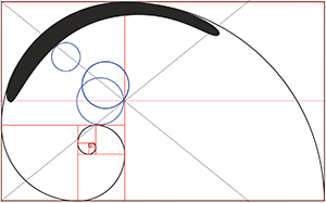 les cercles parfaits dans le logo optique sergent