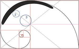 construction du logo d'optique avec des cercles