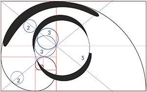 construction pour la paupière basse du logo optique