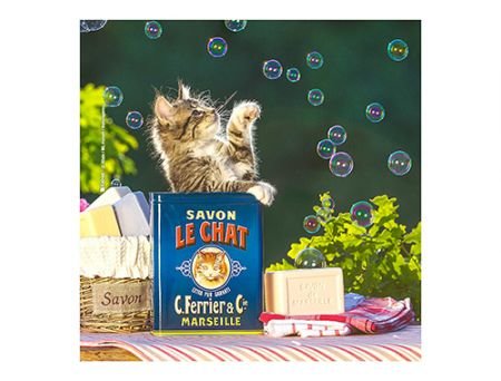 MICROFIBRE Bébés Chatons MICROFIBRE Bébés Chatons
